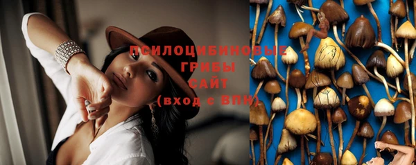 винт Арсеньев