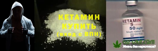 трава Аркадак