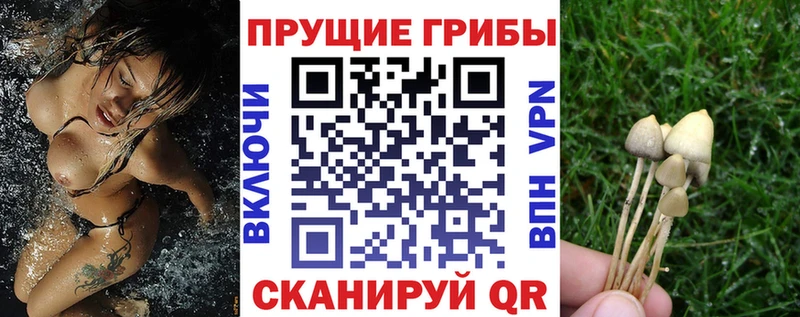 что такое наркотик Сясьстрой блэк спрут ONION Галлюциногенные грибы мухоморы